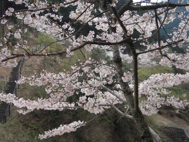 b0025633_21026100.jpg