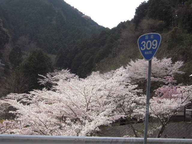 b0025633_210686.jpg