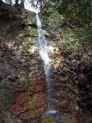 b0025633_2144153.jpg