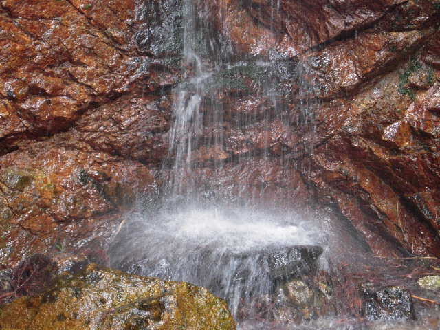 b0025633_2172157.jpg