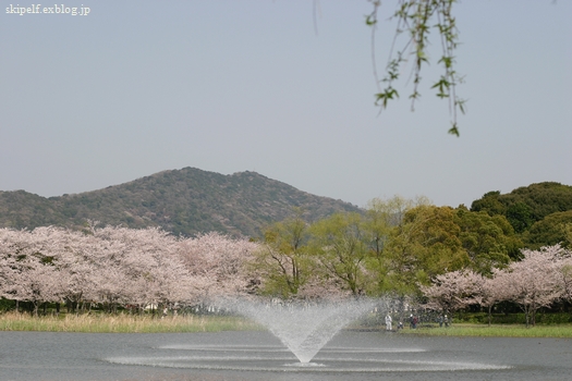 c0134734_2253632.jpg