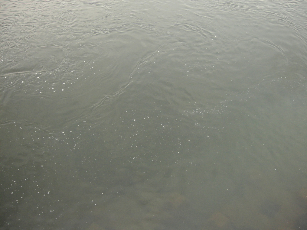 d0013834_0351279.jpg