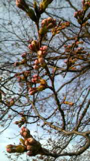 e0080641_2353678.jpg