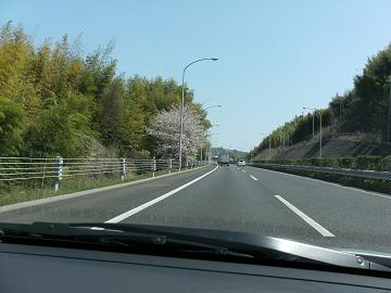 a0124543_19574057.jpg