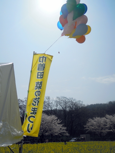 b0154343_2246532.jpg