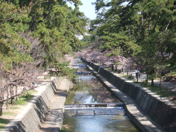 f0159243_10523472.jpg