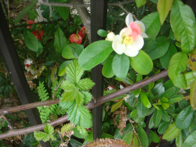 b0097645_12134468.jpg