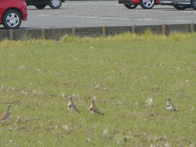 b0097645_128123.jpg