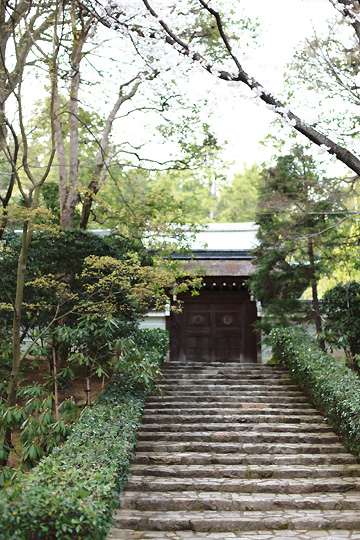 d0008146_21514960.jpg