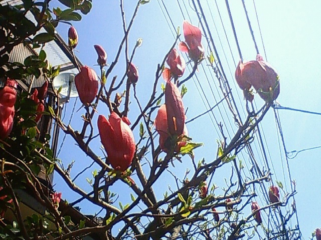 f0179947_229534.jpg