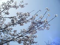 e0175148_19502048.jpg