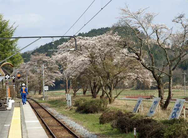 f0214649_8293666.jpg