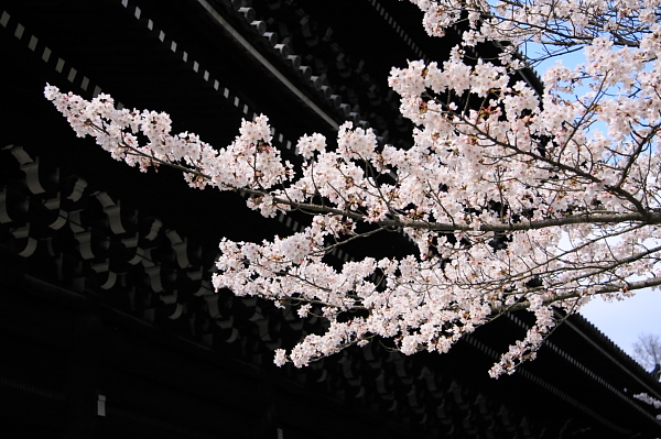a0024250_039454.jpg