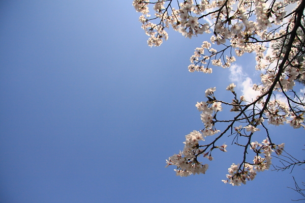 a0024250_0421896.jpg