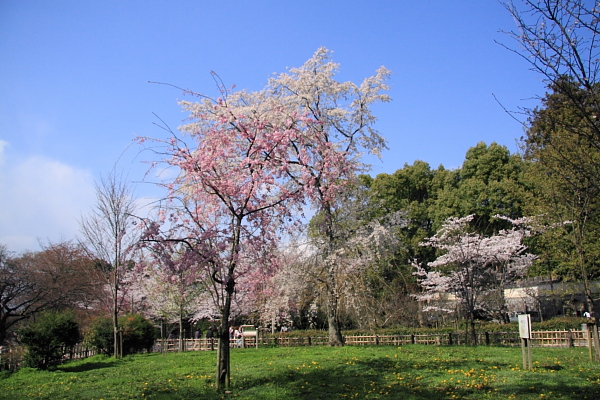 a0024250_2112613.jpg