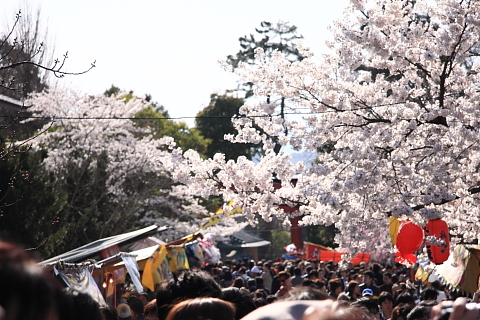 a0024250_21173613.jpg