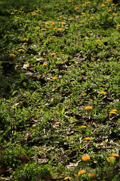 a0024250_21234630.jpg
