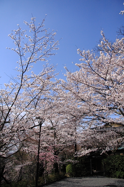 a0024250_2193280.jpg