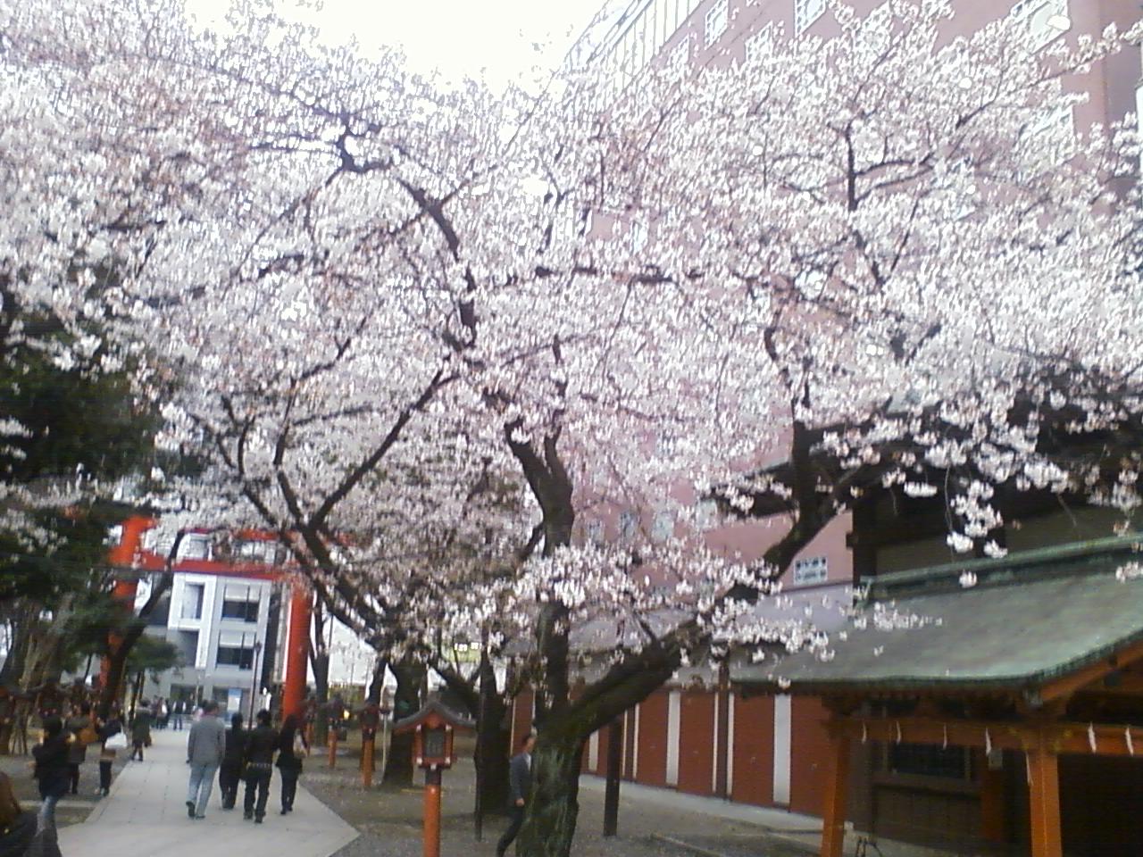 b0139650_0431745.jpg
