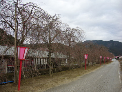 b0174451_755308.jpg