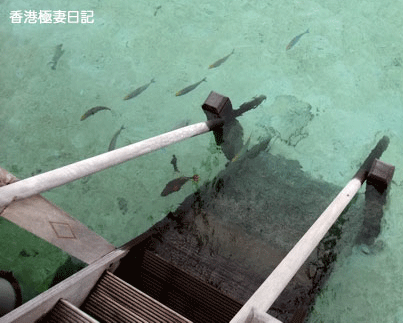 f0190653_1128056.gif