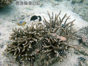 f0190653_12454627.jpg
