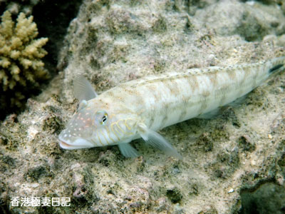 f0190653_12464741.jpg