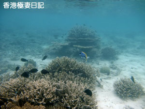 f0190653_1246897.jpg