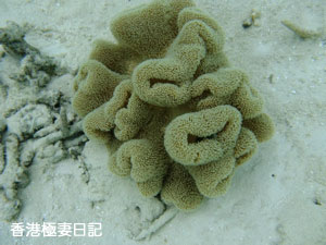 f0190653_12471513.jpg