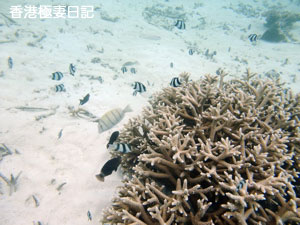f0190653_12472651.jpg