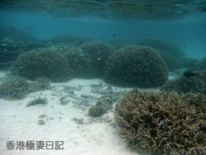 f0190653_1248094.jpg