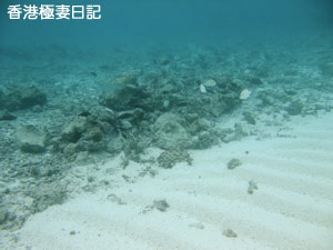 f0190653_12483871.jpg