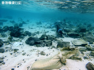f0190653_12485224.jpg