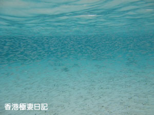 f0190653_1249570.jpg