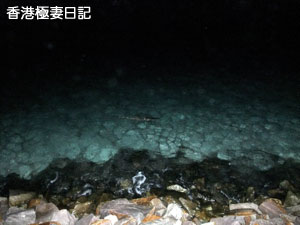f0190653_9303467.jpg