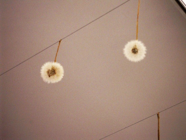 f0222254_7314435.jpg