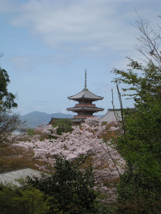 f0233356_2054229.jpg