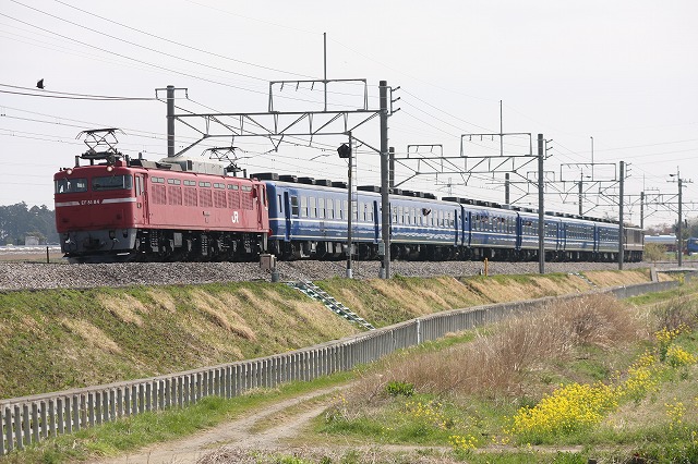 b0002858_23155420.jpg