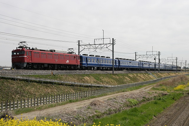 b0002858_23211141.jpg