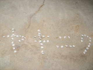 f0043559_17181865.jpg