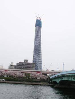 a0075661_1124672.jpg
