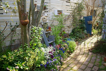 d0083761_2042551.jpg