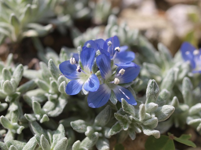 d0025568_7321398.jpg