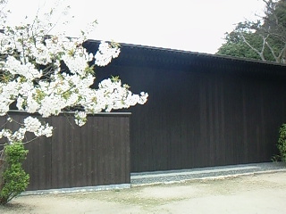 f0142668_5351770.jpg