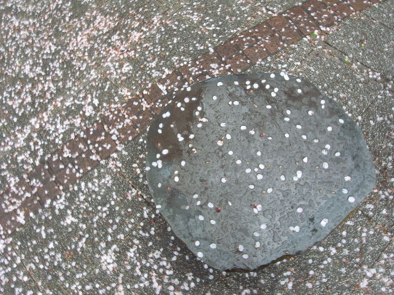 b0084270_046490.jpg