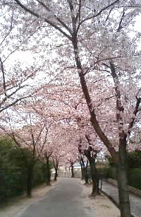 c0196673_17585585.jpg