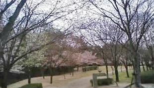 c0196673_1759863.jpg