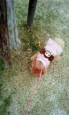 c0196673_1854532.jpg