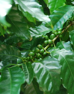 b0173176_9185399.gif