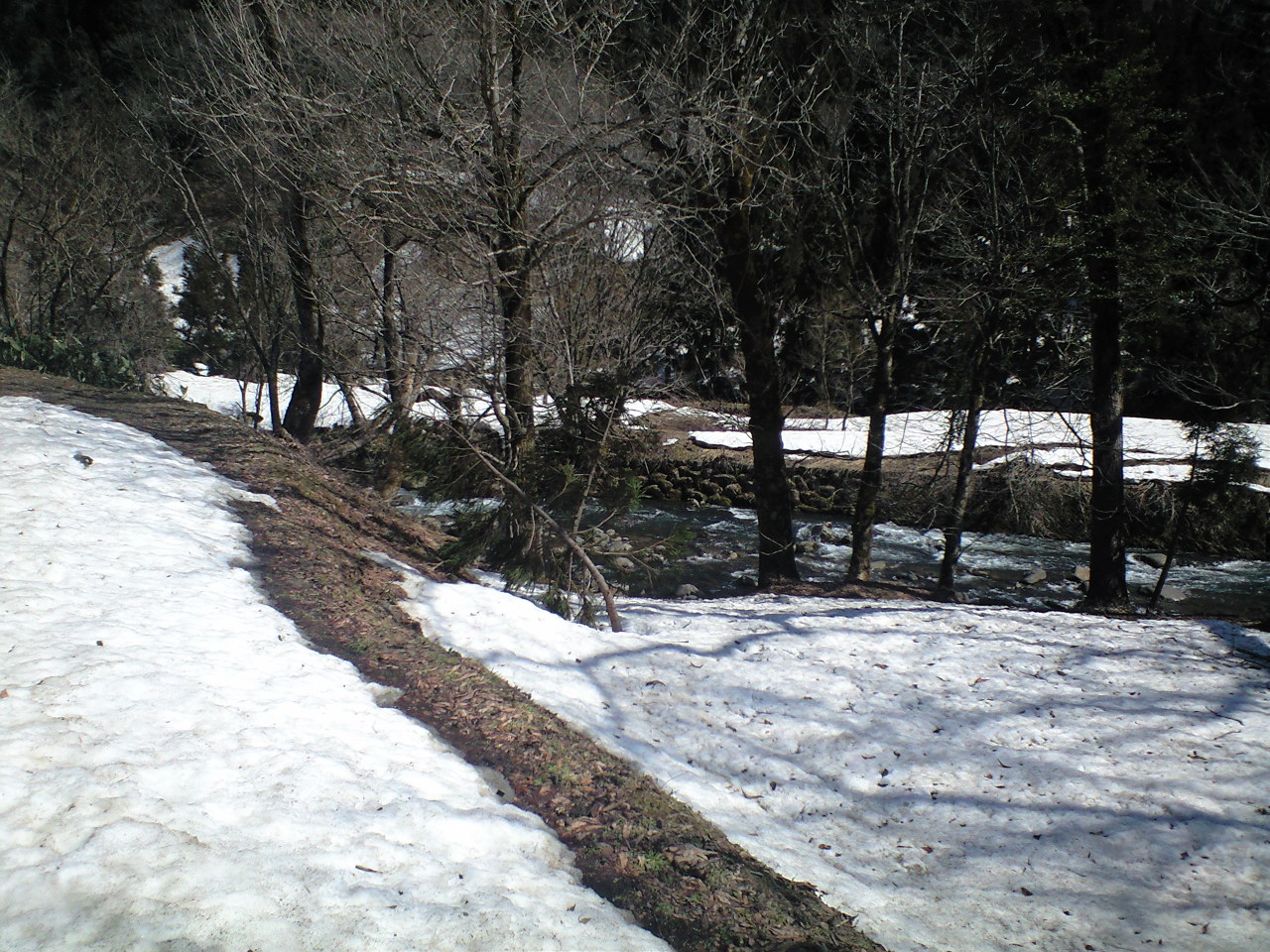 a0093677_11720.jpg